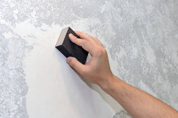 Best Mold Odor Removal Services  in Urbana, OH