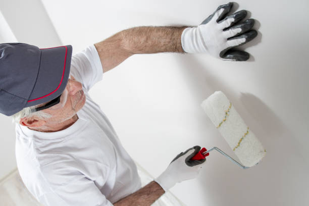  Urbana, OH Mold Removal Pros
