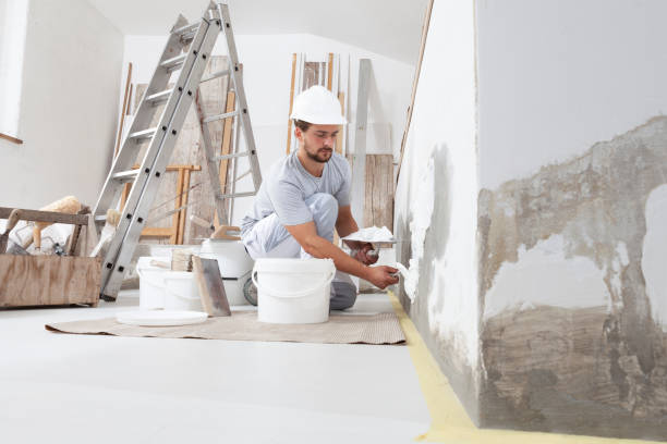 Best Black Mold Removal  in Urbana, OH