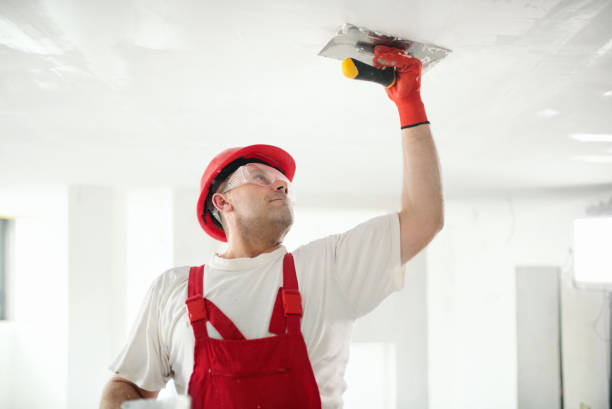 Best HVAC Mold Inspection and Cleaning  in Urbana, OH