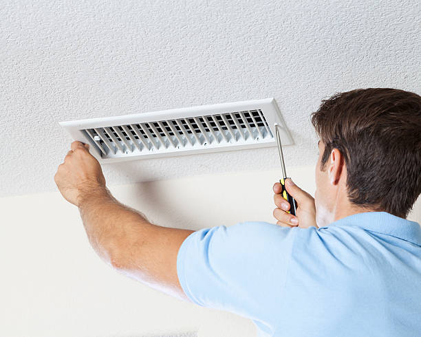 Best Basement Mold Removal  in Urbana, OH