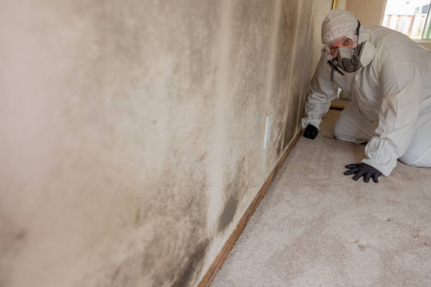 Best HVAC Mold Inspection and Cleaning  in Urbana, OH