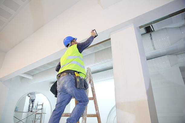 Biohazard Mold Removal in Urbana, OH